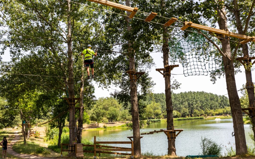 Activité de plein air à Palau-del-Vidre : bienfaits d’une sortie entre lac et forêt