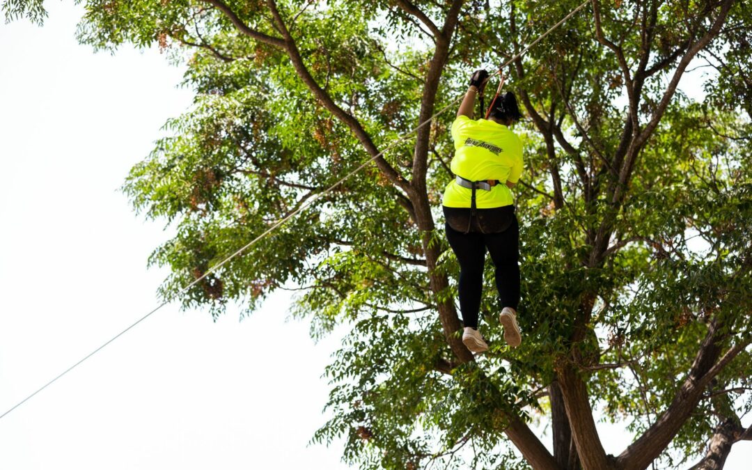 Tyrolienne géante à Palau-del-Vidre : vivez des sensations inoubliables chez Palau Aventures