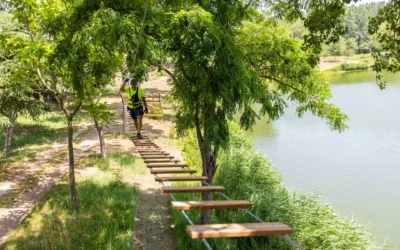 Accrobranche pour enfants à Palau-del-Vidre : les parcours adaptés aux petits aventuriers