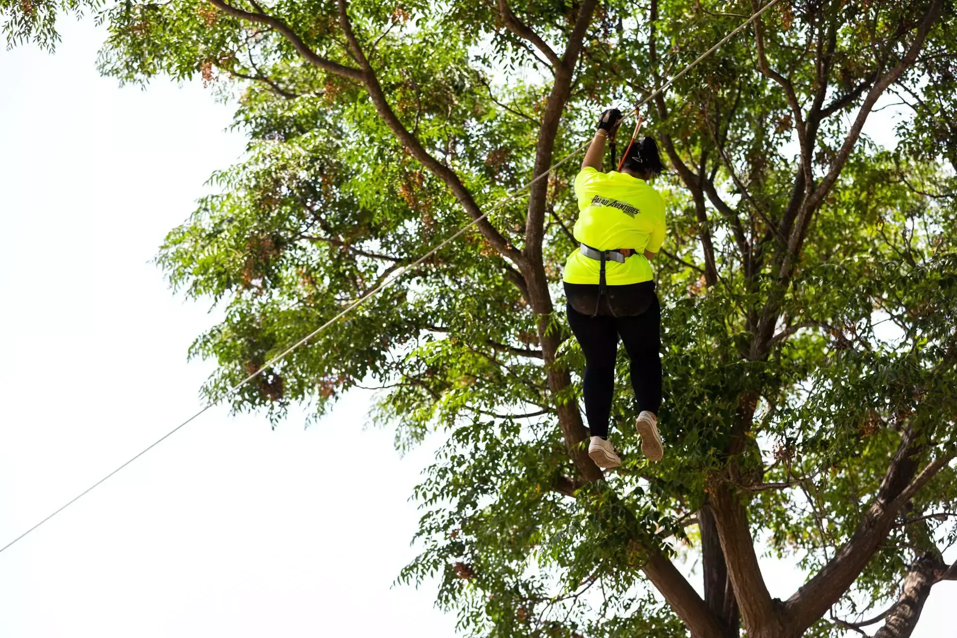 Tyrolienne pour débutants à Palau-del-Vidre