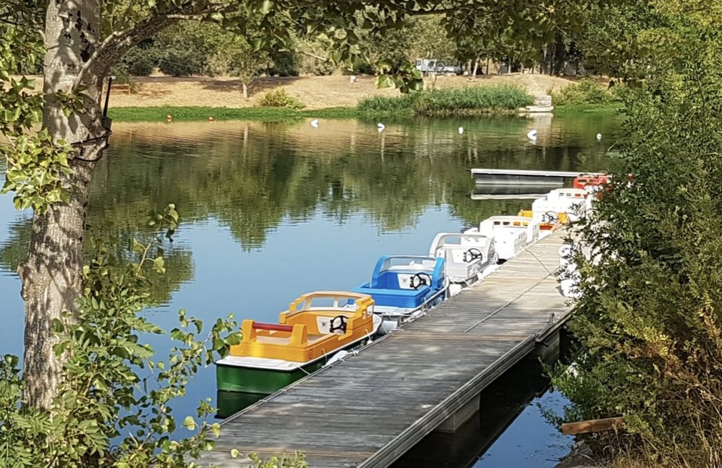 Parc d’aventure dans les Pyrénées-Orientales : options variées pour une journée mémorable